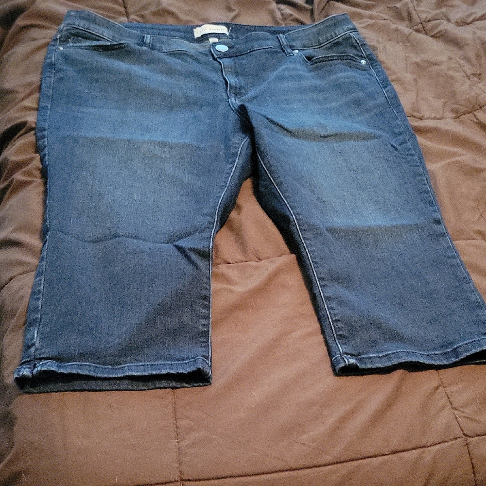 Lane Bryant Dark Blue Ankle Jeans